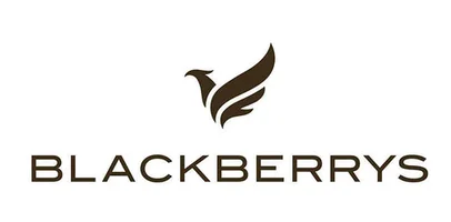 BlackBerrys logo